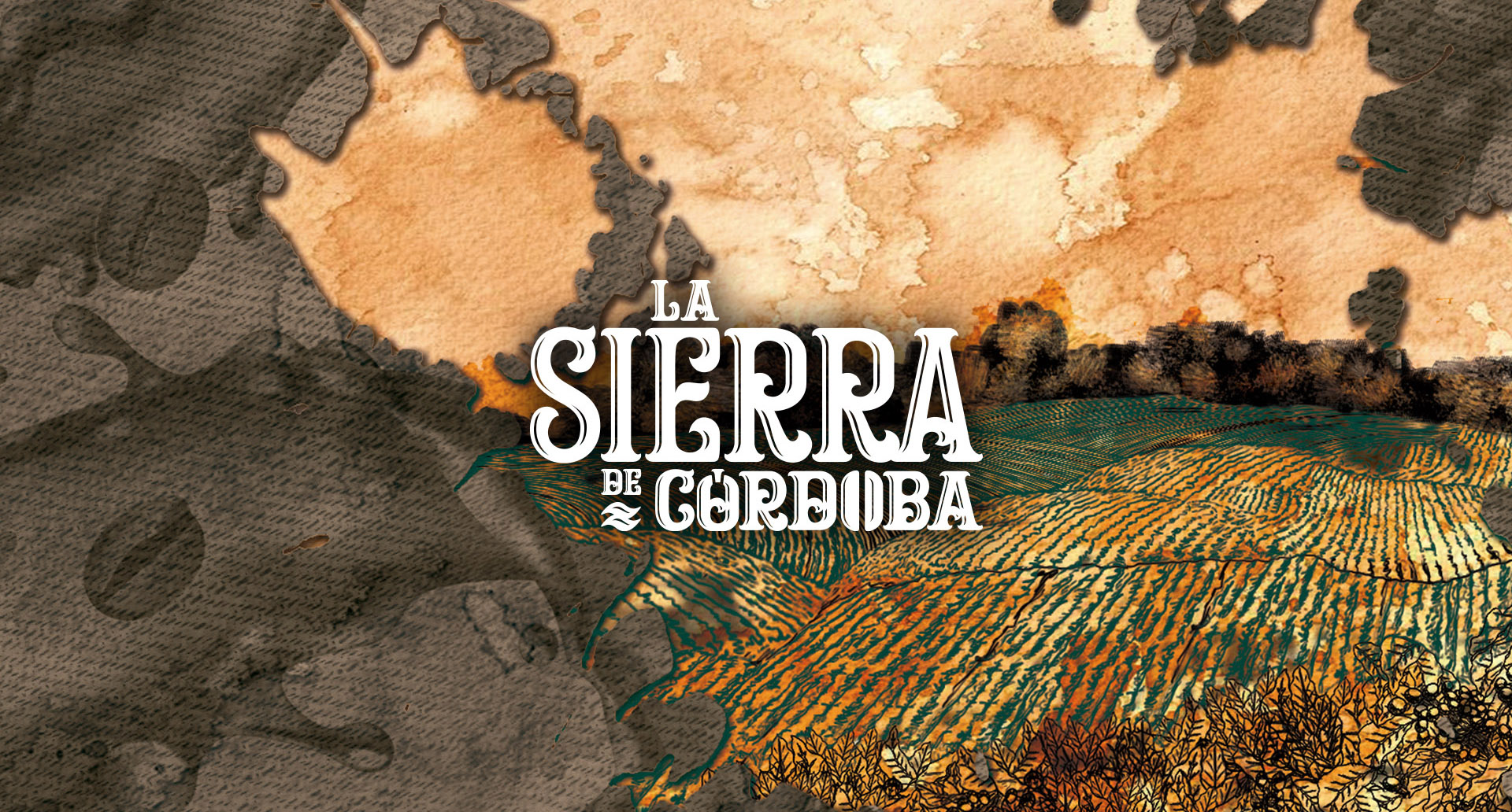 Digital illustration for La Sierra de Córdoba – visual storytelling inspired by coffee traditions